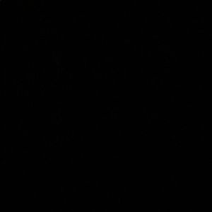 Meet your Posher, Lindsay